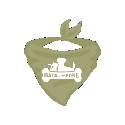 Back To The Bone Sticker