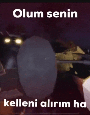 Seek Horror Game GIF