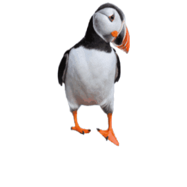 Kneissl Touristik Sticker