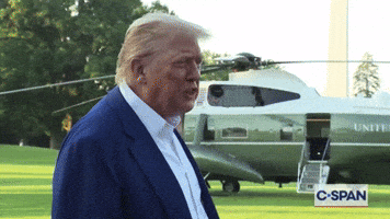 News Wtf GIF
