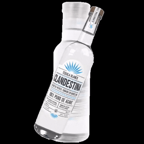 tequilaclandestina cocktail tequila agave clandestina GIF