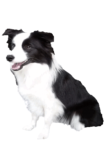 Fire Sticker by Raffaela Kraus