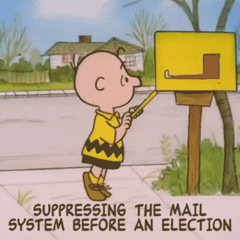 Voting Charlie Brown GIF by INTO ACTION