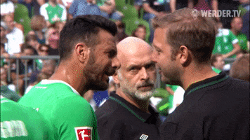 Stefanos Kapino Tips GIF by SV Werder Bremen