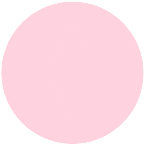 Hilmar Sticker by Srta Style Cosmetics