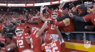 Celebrate National Football League GIF by NFL
