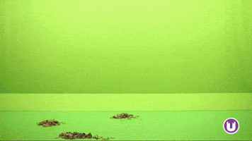Stop Motion Omg GIF by School of Computing, Engineering and Digital Technologies