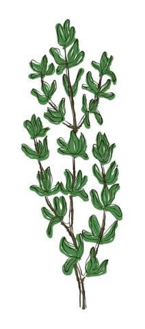 Yerba Verdeflor Sticker