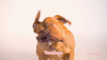 Shaking French Bordeaux GIF