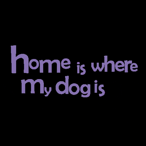 Dogfaible GIF