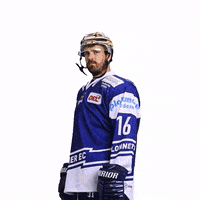 Yes Win GIF by Iserlohn Roosters