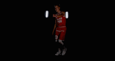Vilpas Vikings GIF