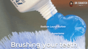 Toothpaste Parabens GIF by DrSquatchSoapCo