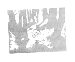 Artemis_Guy print woods lino artemisguy GIF