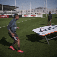 Ping Pong GIFs