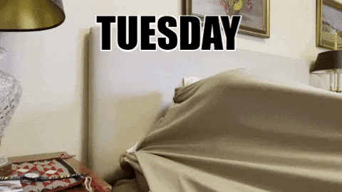 Tuesday GIFs - Get the best GIF on GIPHY