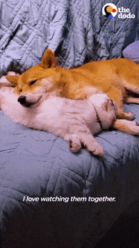 Bestfriends GIFs - Get the best GIF on GIPHY