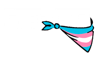Trans Transgenero Sticker by Periódicas | medio feminista