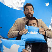 Smother Property Brothers GIF by Twitter