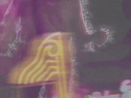 burgerrecords burger records part time i can treat you better GIF