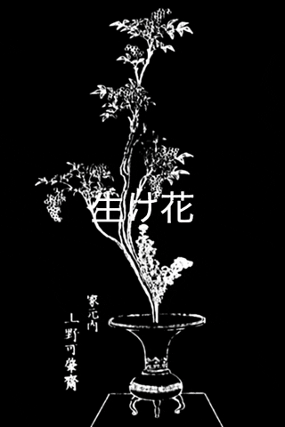 Ikebana GIF