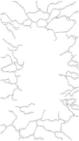 Art Loop Sticker by Aavistus Festival