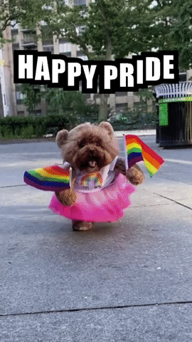 puppy carrying rainbow flags, text reads: Happy Pride! 
