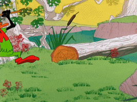 Robin Hood GIF