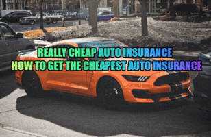 Auto Insurance GIF
