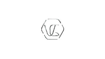 Voichegeyer fashion logo moda spinning Sticker