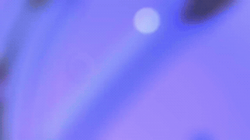 Brewstarz Originals GIF by Brewstarz