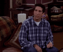 Season 6 Friends GIF