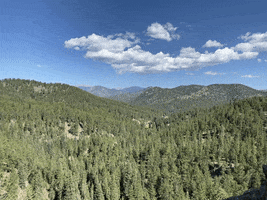 Hummingbird Colorado Etbtravelphotography Naturephotography GIF