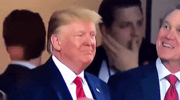 Trump GIF