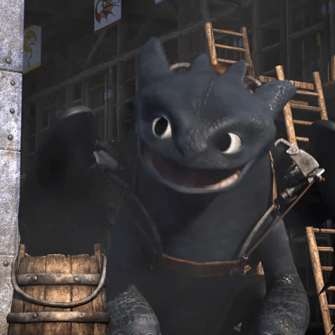 how to train your dragon television GIF by Universal Kids