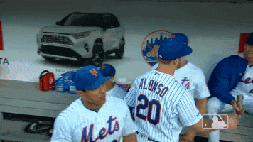 Awkward Ny Mets GIF by New York Mets