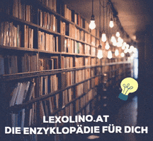 Knowledge Wissen GIF by lexolino.de