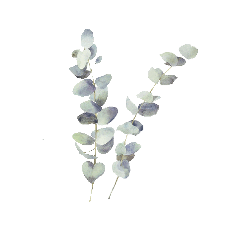 Flower Plant Sticker by Lloyd's Inn