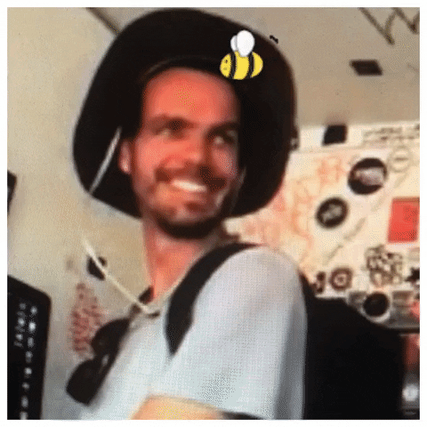 thelotradio bee francois the lot radio part time lover GIF