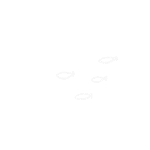Ocean Sticker