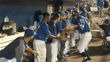 High Five Home Run GIF by Biloxi Shuckers