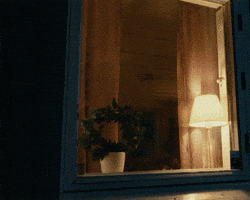 Pantamera GIF