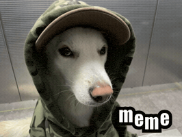 Dawg GIF