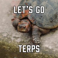 Let's Go Terps