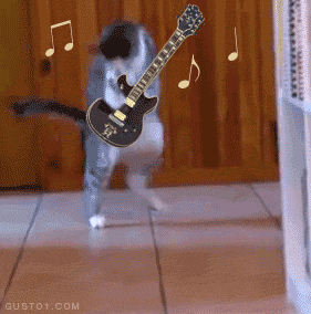 Guitar GIFs - Find & Share on GIPHY