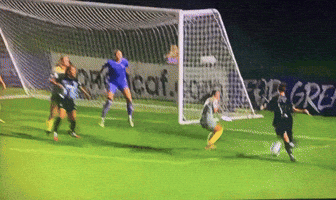 Gotham Fc GIF