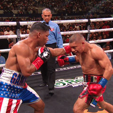 Knockout Fighting GIF by Premier Boxing Champions