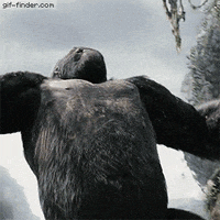 200w.gif
