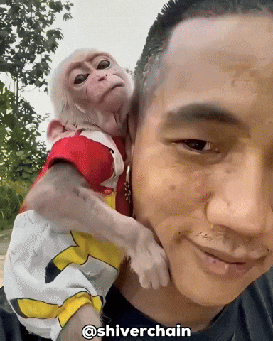 Man Ai GIF