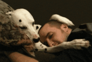 Video gif. A man leaning onto a couch to cuddle a big dog, who rubs the man's head with his paw.